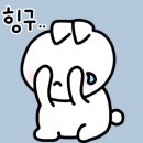 크로스핏 레오 이미지