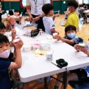 수륜초등학교병설유치원 이미지