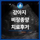 잘하는 동물메디컬센터 | 대구동물메디컬센터 강아지 비장종양 치료후기(항암치료 및 셀레늄치료)