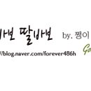 니모실내낚시카페 이미지