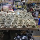 부부건어물 이미지