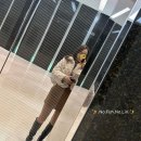 강남동로 100번길2 | 강남역 눈밑꺼짐 다크서클 쥬베룩 후기/통증/부작용