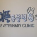 마음사랑동물병원 이미지