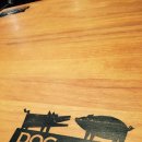 도그어게인 이미지