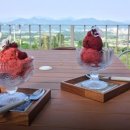 씨돌농장 이미지