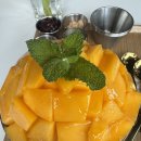 정실농장 | 맛집] 제주 애플망고1947 = 제주 애플망고빙수 맛집 제주 애플망고 농장 망고 빙수 맛집 제주 디저트 카페