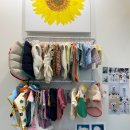 포드그루와 이미지