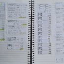 푼다리카 이미지