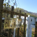 우리들농장(소) 이미지