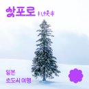 2023-01-0224 | 일본 홋카이도 여행 삿포로 비에이 버스투어 예약 방법