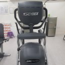 피티몽키위드레몬 이미지