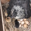 세심농장 이미지