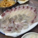 개금맛집 추천 회를 푸짐하게 즐길 수 있는 가성비 맛집 생생도매횟집