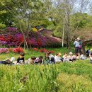 신광어린이집 이미지