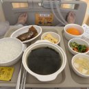 세브란스동물병원 | 아들쌍둥이 제왕절개 후기, 세브란스 수술부터 회복 3일차까지