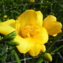 해밀농장 이미지