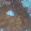 해녀와바다 이미지