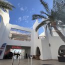 [이집트 다합 여행] 사피르 다합 리조트(Safir Dahab Resort) 10박 후기