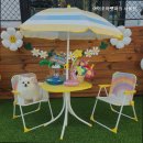 아이조아 캣파크 서울점 | [서울 귀여운 고양이 카페추천] 아이조아펫파크 서울점 아이조아펫파크, 동물과 함께 힐링하기 좋은 곳