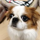 간식주까 이미지