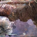 양지-3007 이미지