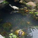 김수환무네 이미지