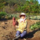 팔봉농장 이미지