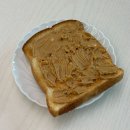 평화백제약국 | 새 순