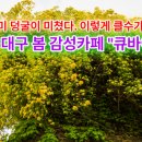 카페큐 이미지