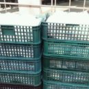 농업회사법인 버드내 주식회사 이미지