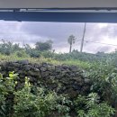 저지돌담민박 이미지