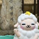 대빵놀이터 | 2025 양평 용문산 산나물축제 후기