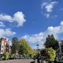 DH축산 | 암스테르담_3 | 쇼핑리스트, 초코쿠키「Van Stapele」, 스트룹와플&amp;미피 「HEMA」