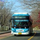 수원-1662 이미지