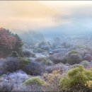 비밀정원 이미지