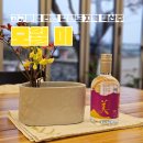 모월 | 고구마로 만든 강원도 지역 특산주 &#39;모월 미&#39; 후기