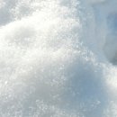 뽈레뽈레 이미지