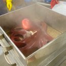대신회식당