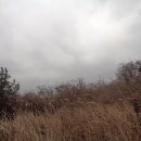 조천초등학교교래분교장 이미지