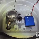 뉴져스트 이미지