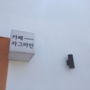 티미하우스 이미지