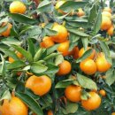 알앤비타운 이미지