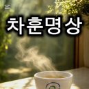 차훈명상에 대해 가장 알고 싶은 10가지 Q&amp;A 이미지