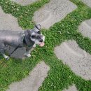 까치울중학교 이미지