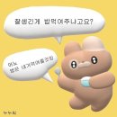성동가가 이미지