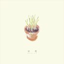 보리플레이 - 마포구 동교동 | 보리플레이