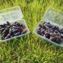 모서농업협동조합 이미지