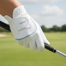 지맥스 | 지맥스 여성 반양피 골프장갑, 부드러운 착용감과 밀착 그립 실사용 후기