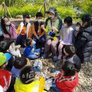 정읍사공원 유아숲체험원 이미지