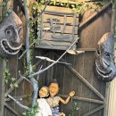 최영석 | 251223 뮤지컬 판 첫공 후기 : 문성일 김지훈 김아영 박란주 김효성 임소라 최영석